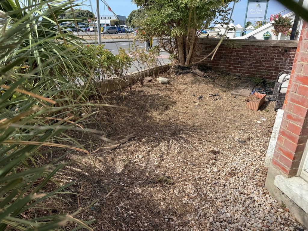Lot: 143 - PATIO FLAT ON SEAFRONT - South facing patio with tree and shrubs